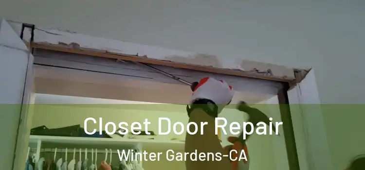  Closet Door Repair Winter Gardens-CA