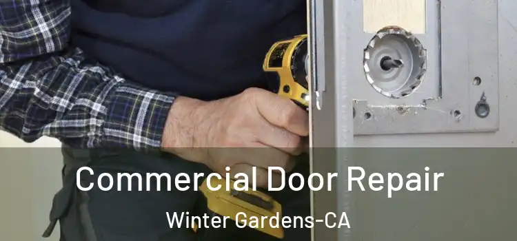  Commercial Door Repair Winter Gardens-CA