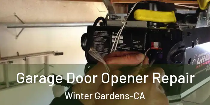  Garage Door Opener Repair Winter Gardens-CA