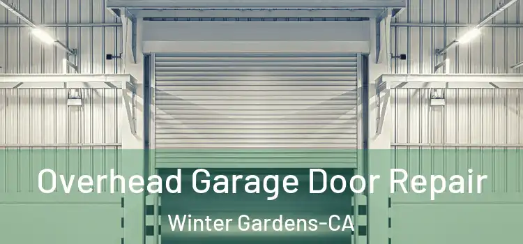  Overhead Garage Door Repair Winter Gardens-CA